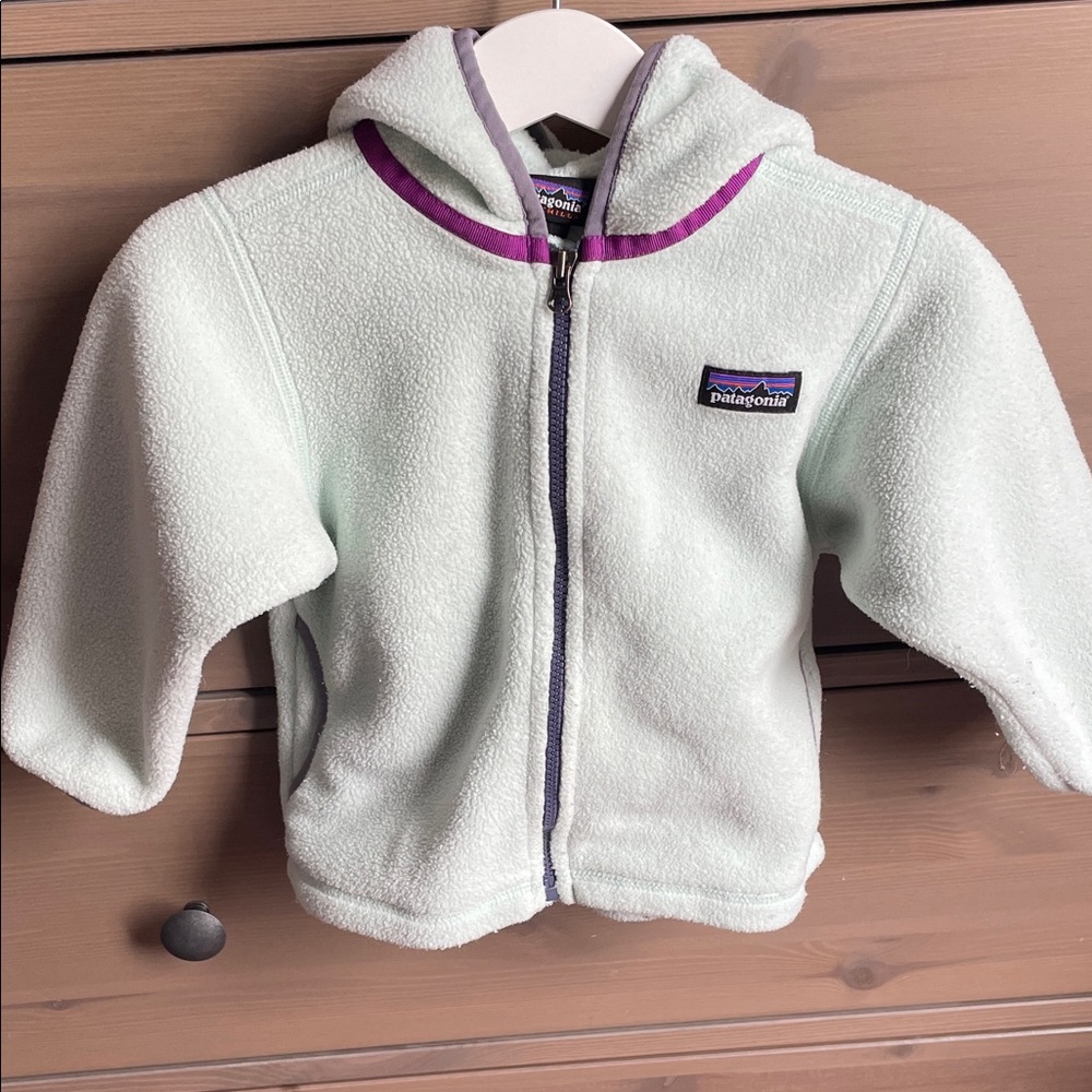 Patagonia Kids' Synchilla mint green Fleece Hoodie with Purple Trim